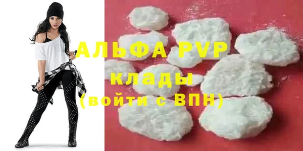 молекула духа Белоозёрский